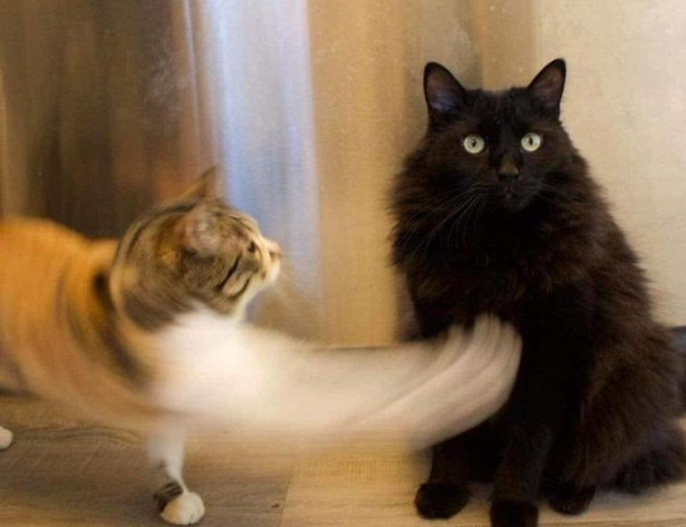 advice tips ontpwellness