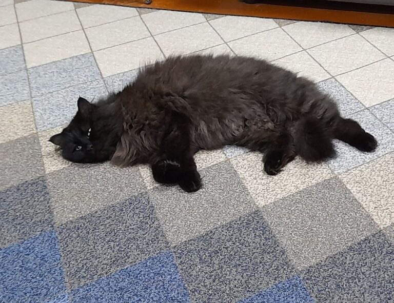 gdtj45 builder software code development