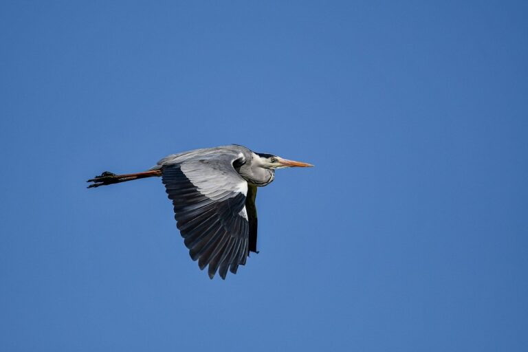 health guide ontpwellness