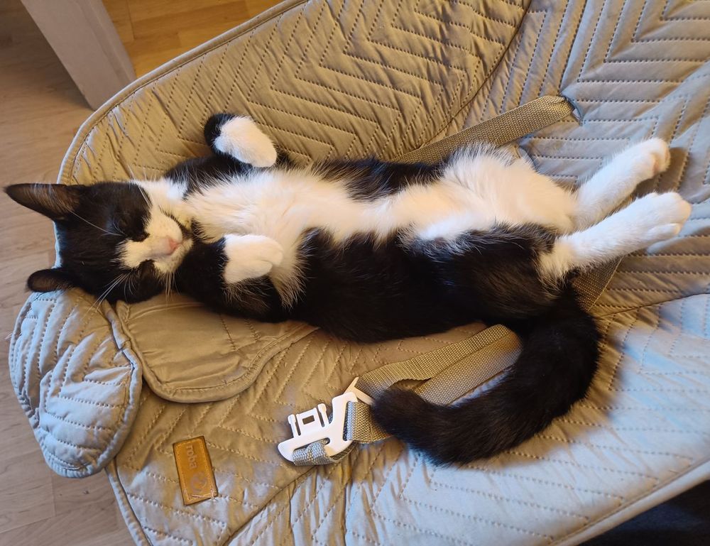 how to install mozillod5.2f5