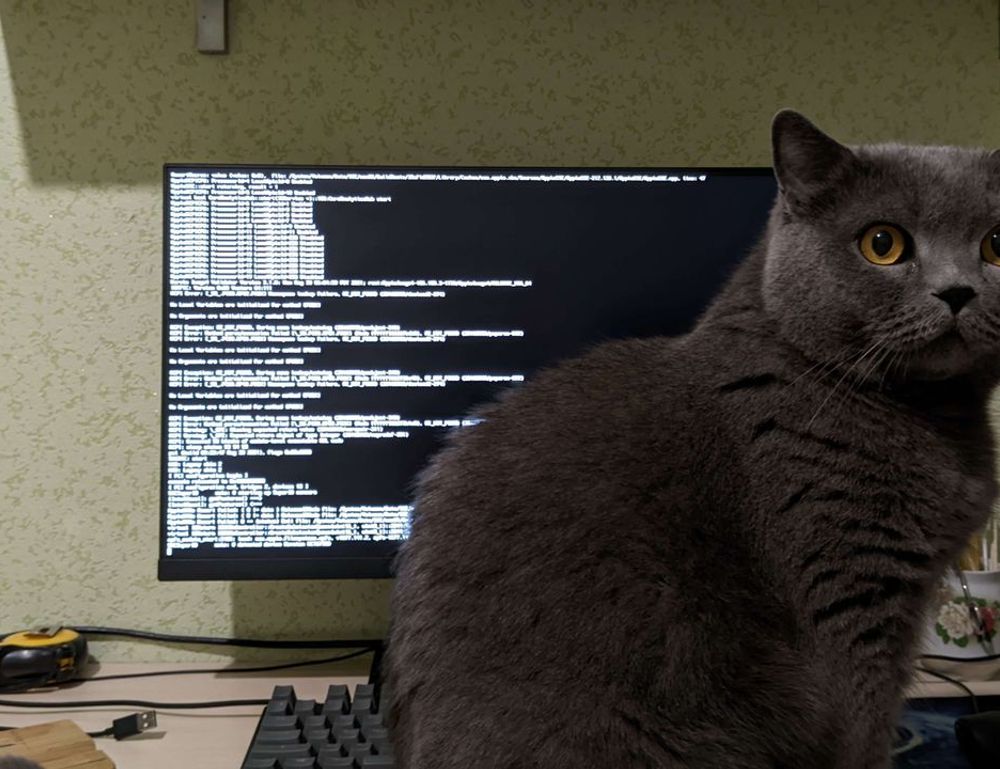 improve software meetshaxs in future