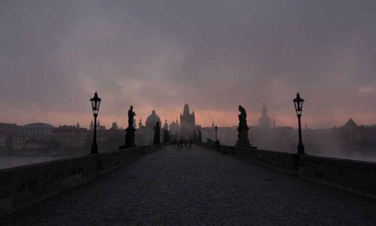 is higossis brush good for concealer