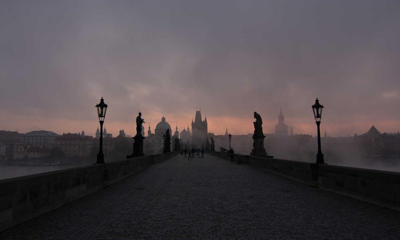 is higossis brush good for concealer