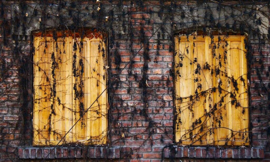 why use uhoebeans software in business