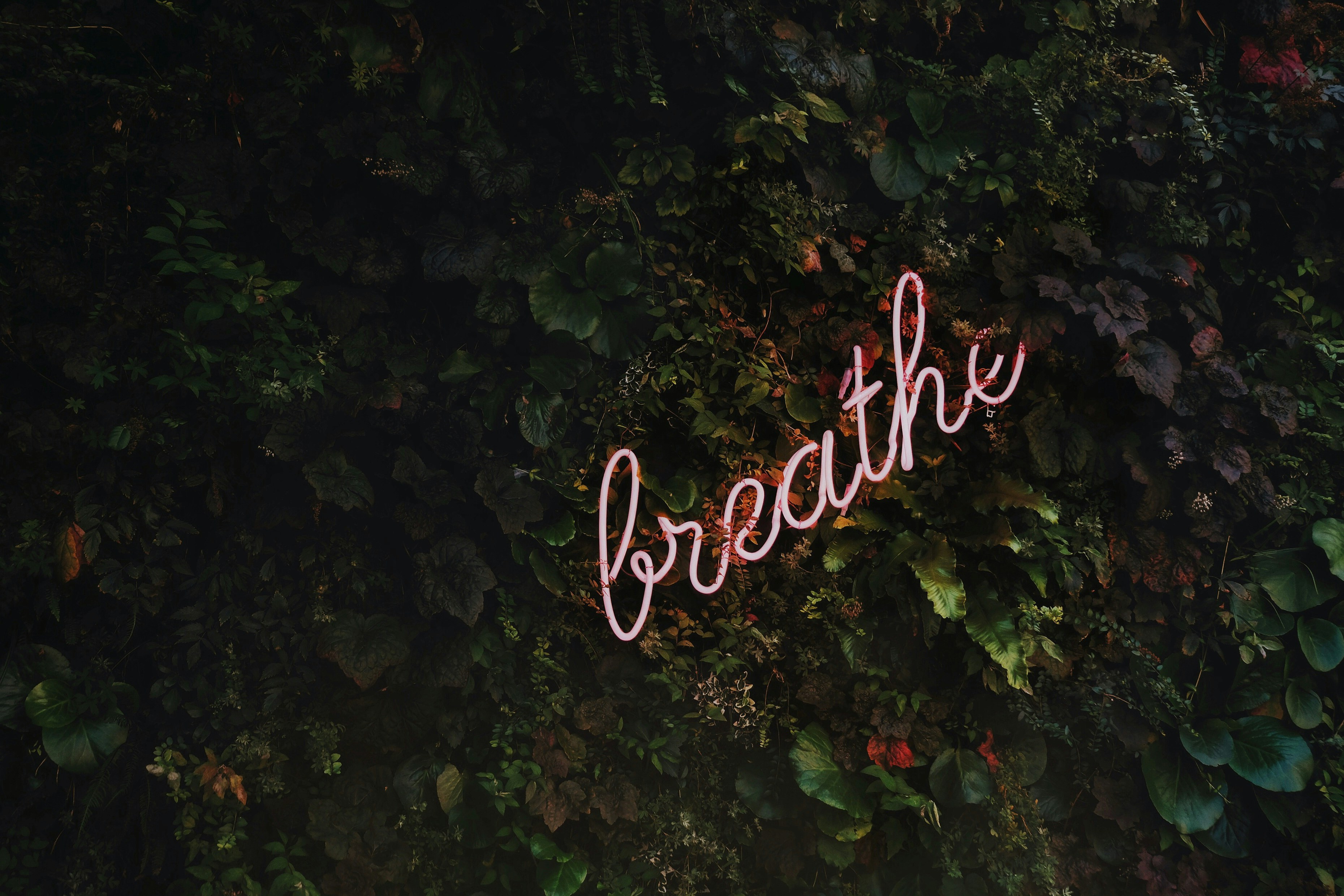 breathwork therapy