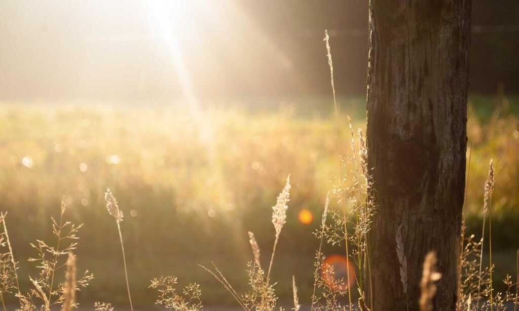 fitness tips ontpwellness