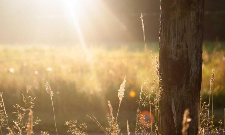 fitness tips ontpwellness