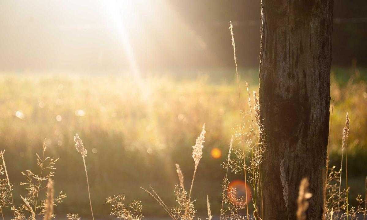 fitness tips ontpwellness