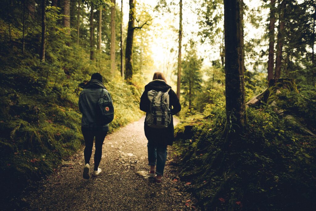 Two friends walk along a forest path, enveloped by lush greenery and tall trees.
