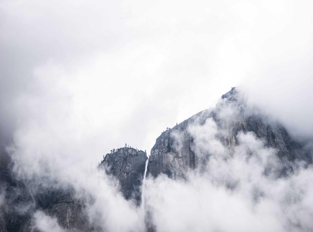 FAQs: Common Questions and Answers