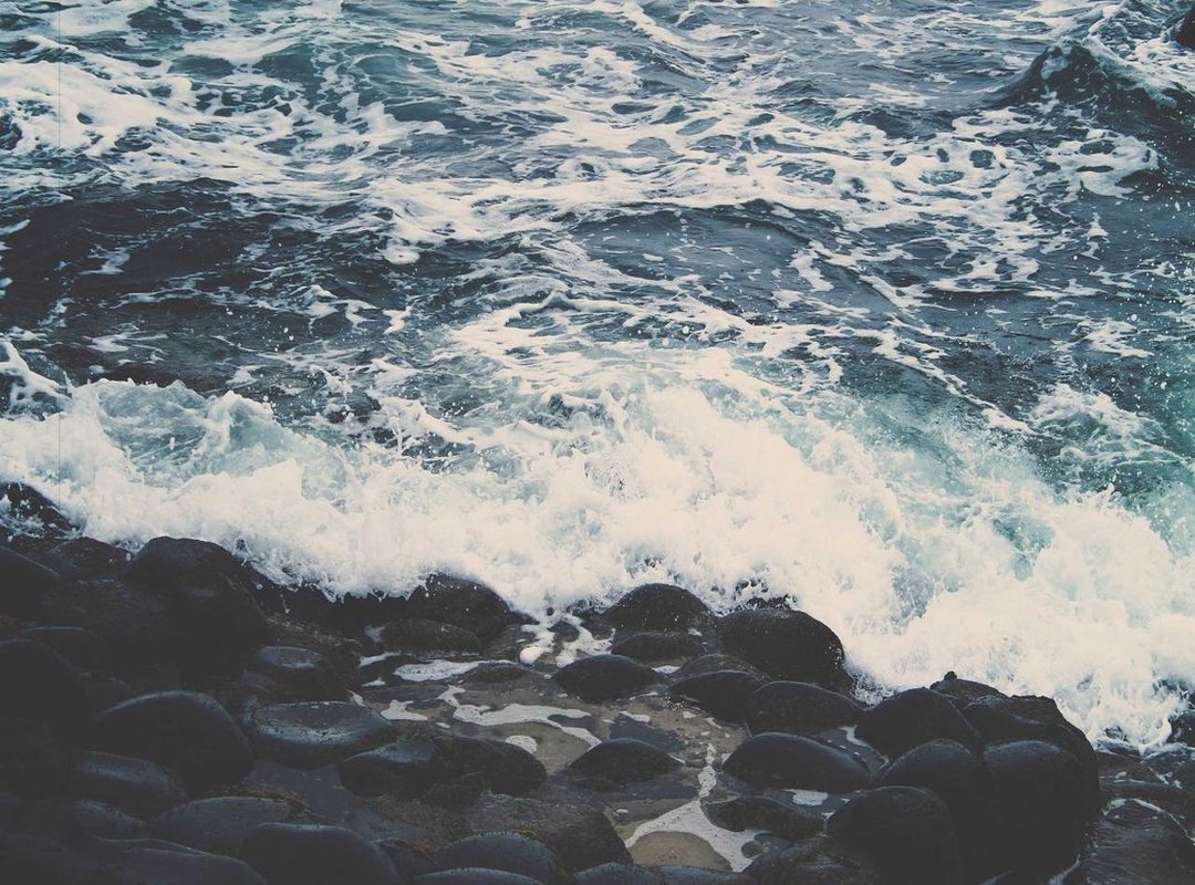 Troubleshooting: What to Do If Your Download Fails