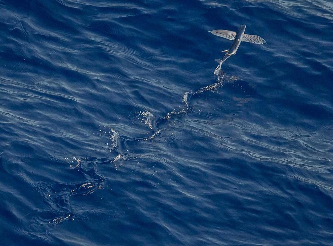 Protective Films: A Smart Investment for Any Business