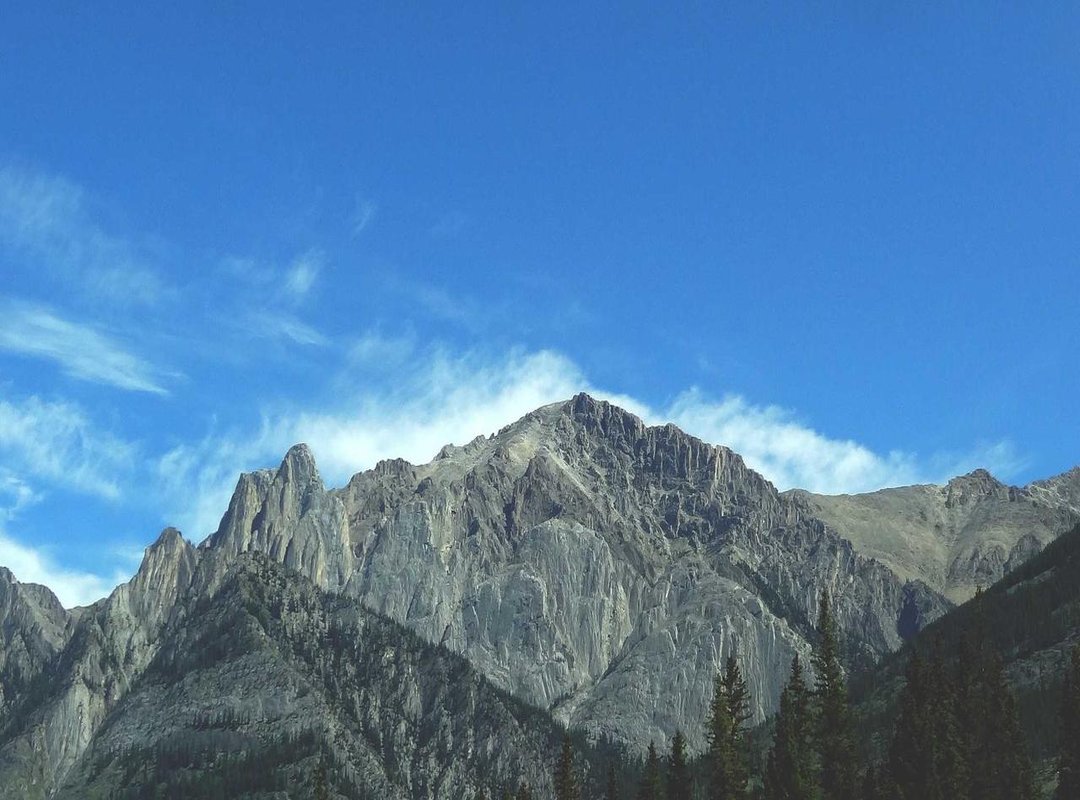 Beyond the Finish Line: Navigating Social Media and Public Image