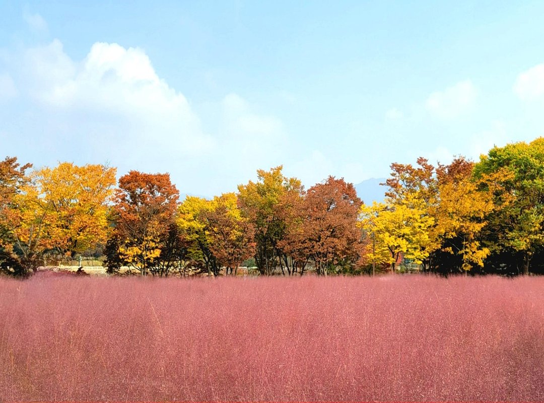 Finding Inspiration Beyond the Obvious