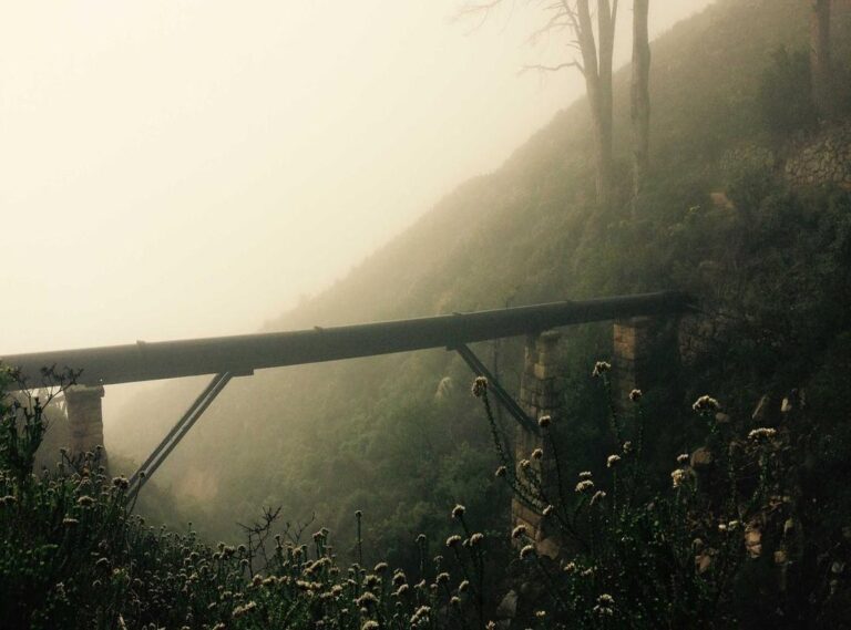 ps10000000000000000000000000000000000000000000000000000000000000000000000000000000000000000000000000