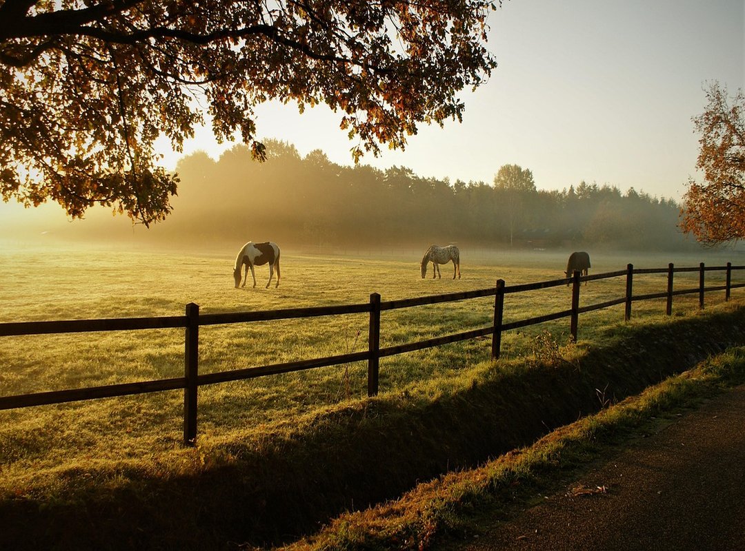 skinwalker ranch laatste nieuws