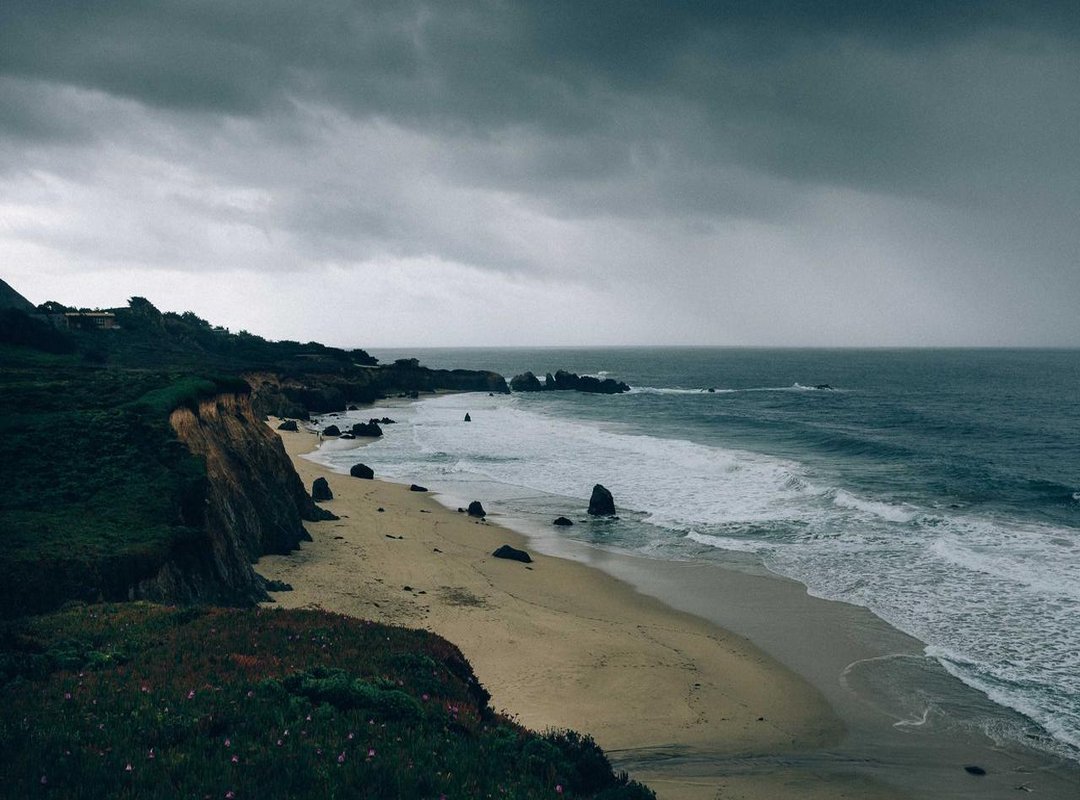 The Viral Phenomeon: Why the Song Resonates So Deeply