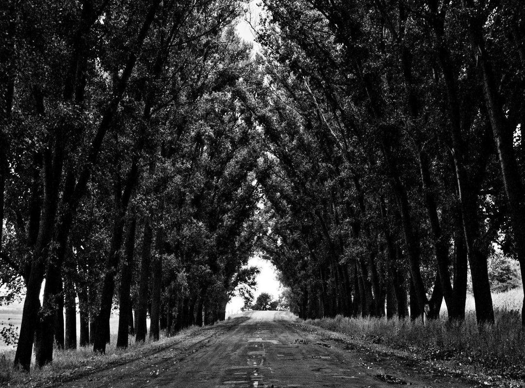 Pros and Cons: Detailed Analysis of Each T-Shirt