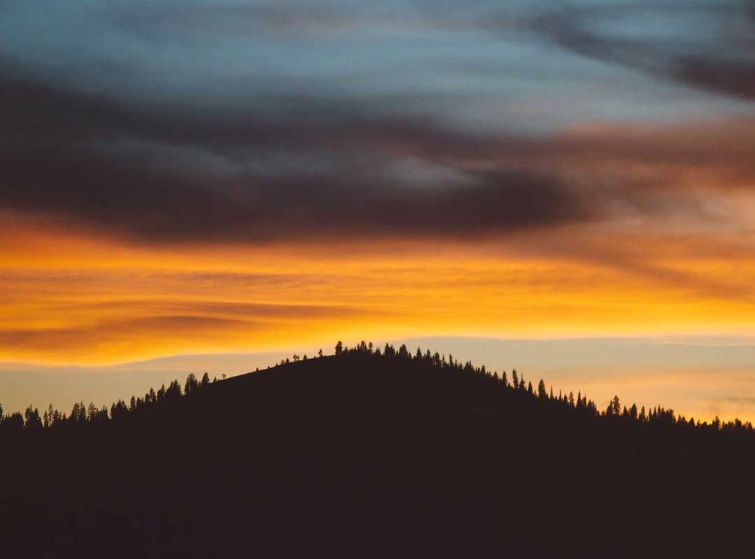 The High Cost of Myth: Poaching and Conservation Threats