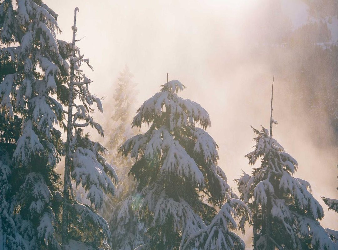 Permissible Grooming: What Can You Do?