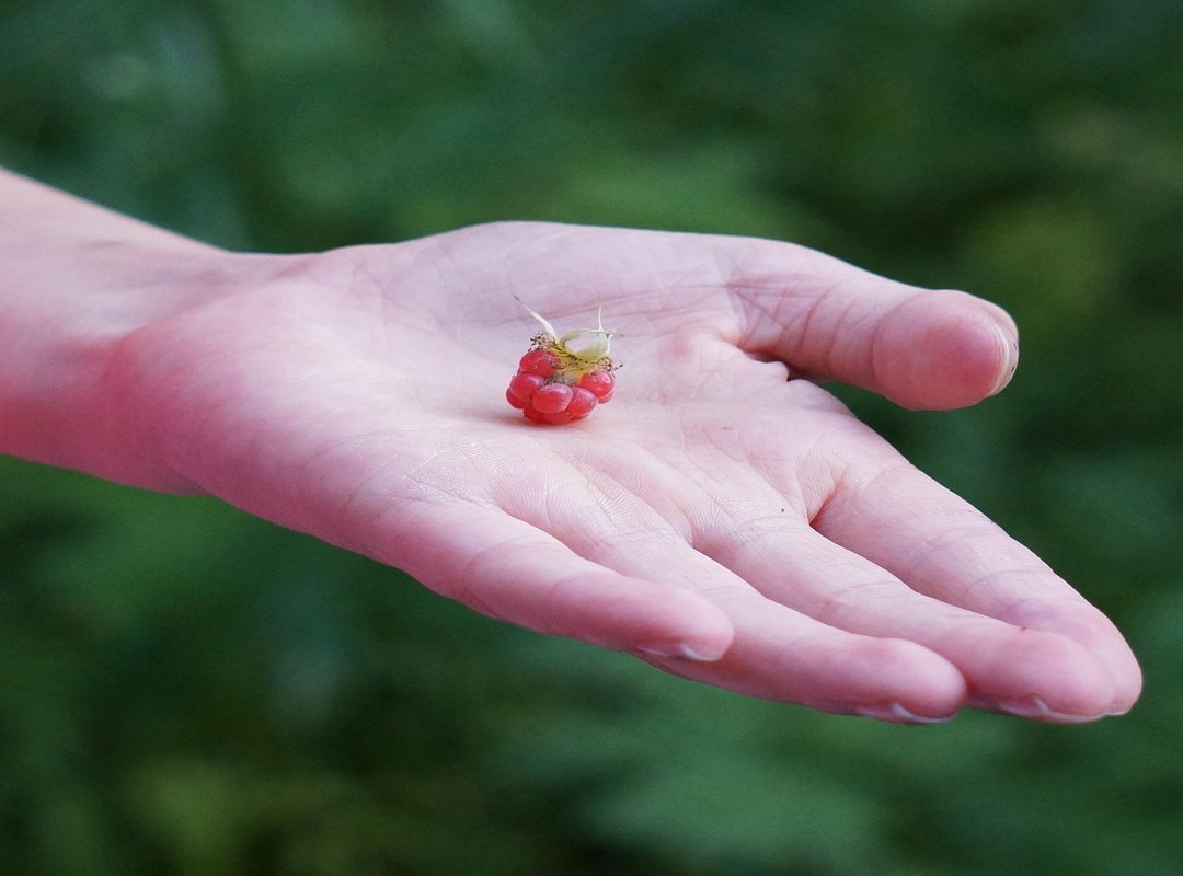 Top Features to Explore Once You're In